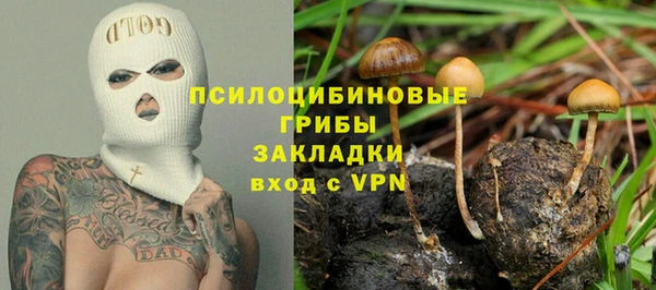 кокс Бородино