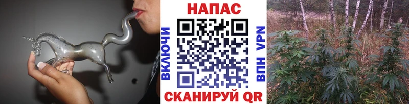 Купить закладки  Краснознаменск  Бошки Шишки VHQ 